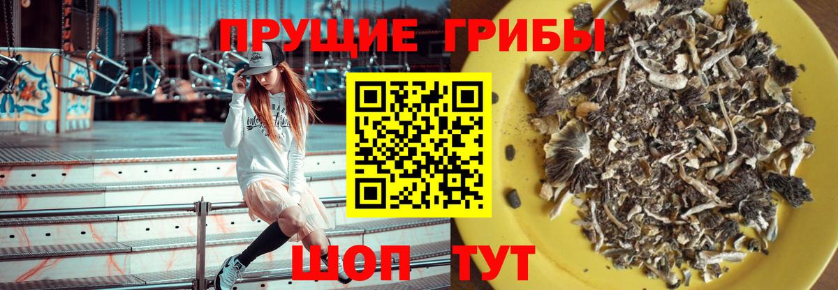 Галлюциногенные грибы GOLDEN TEACHER Богородицк