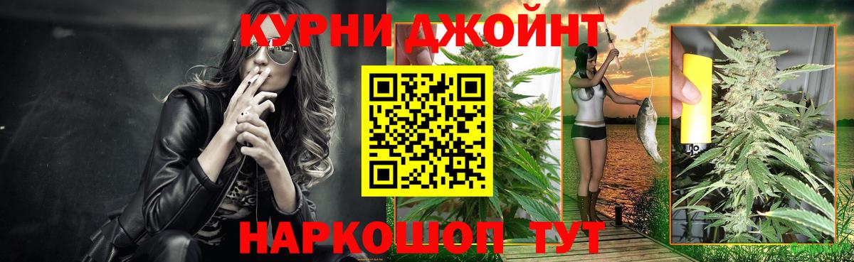 Богородицк  Бошки марихуана Ganja  Вход с VPN  Марихуана OG Kush  Каннабис сатива 